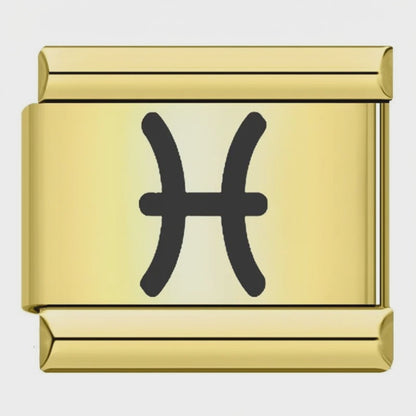 Video del Charm Piscis (Dorado)