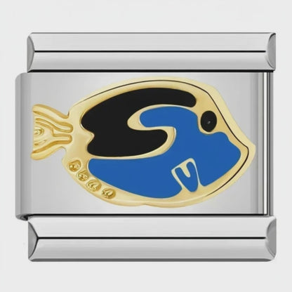 Charm Dory – video