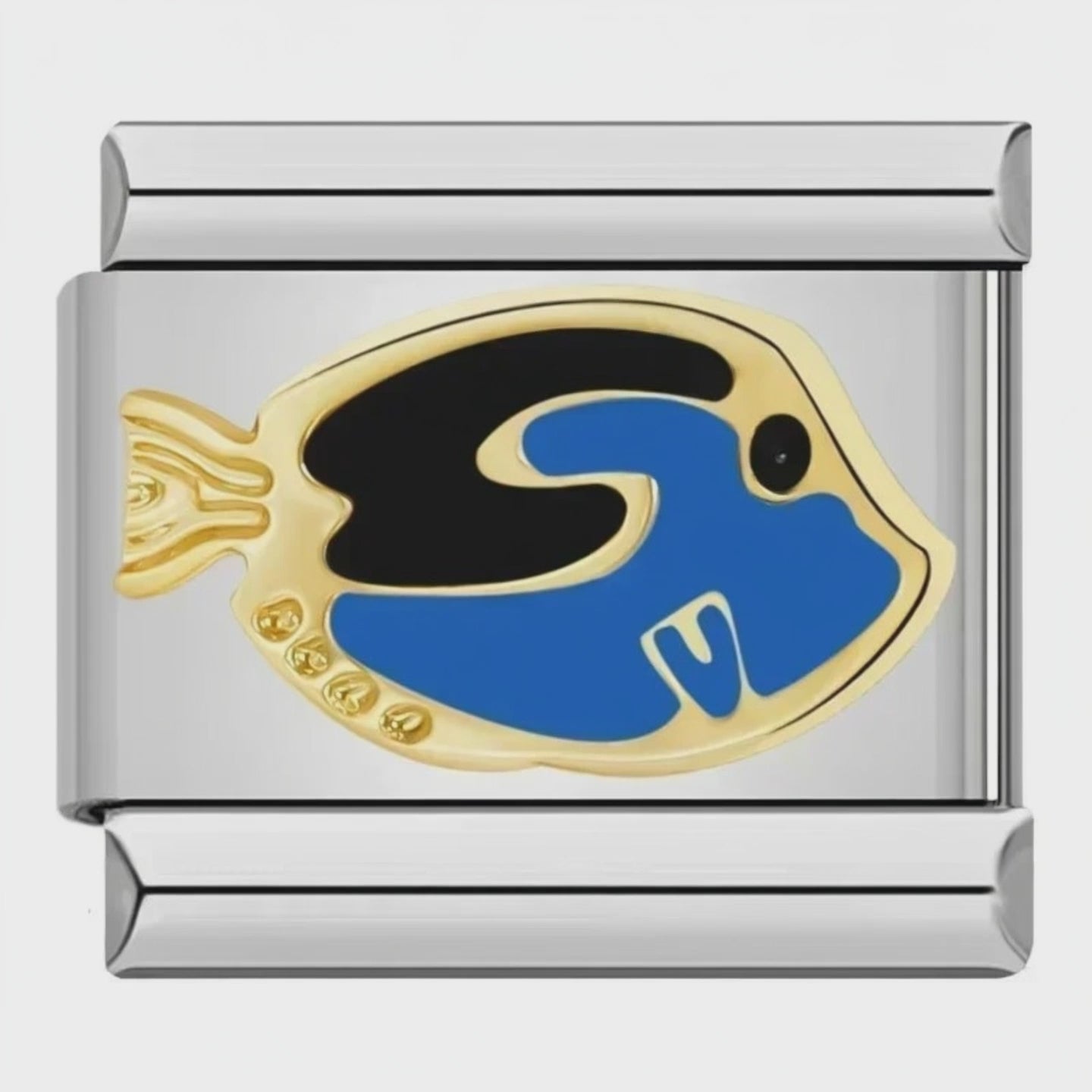 Charm Dory – video