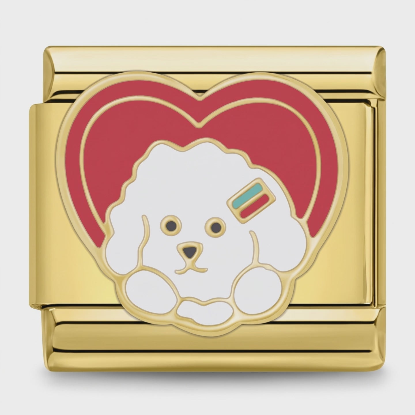 Video del Charm poodle (Dorado)