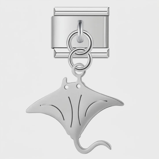 Charm Colgante Raya Mar (Plateado) – video