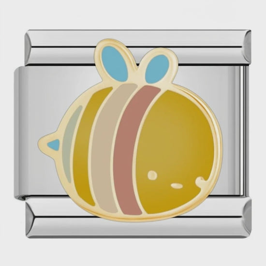 Video del Charm Abeja