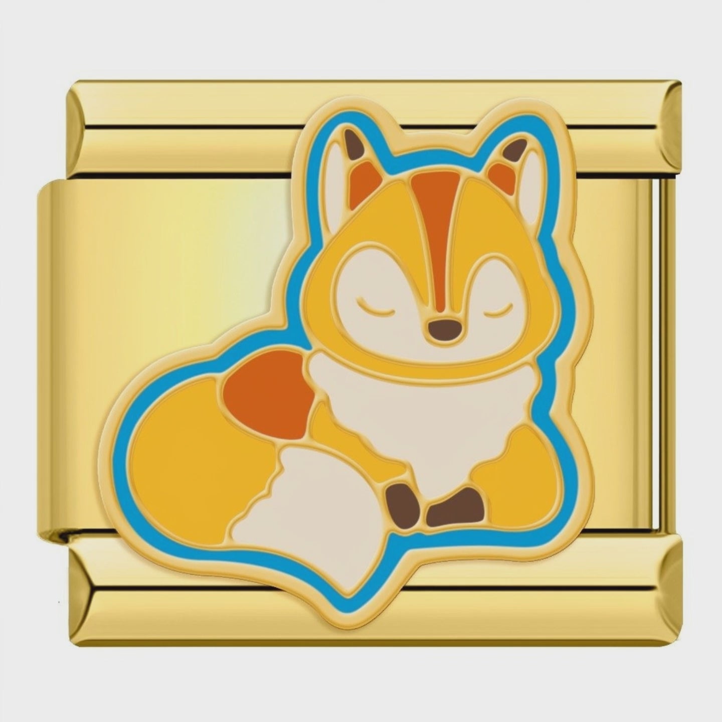 Video del Charm Zorrito