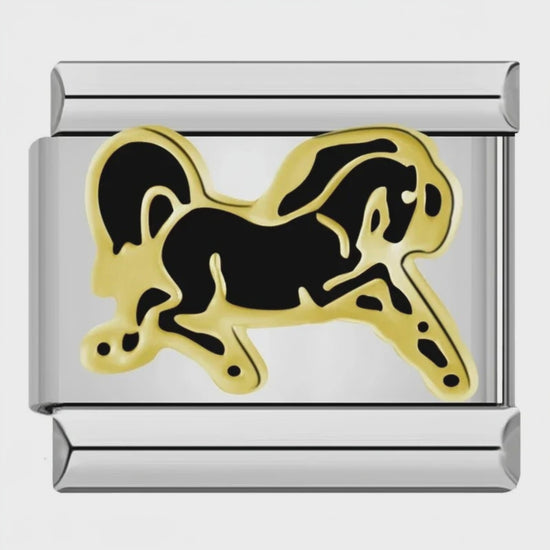 Charm Caballo (Corriendo) – video