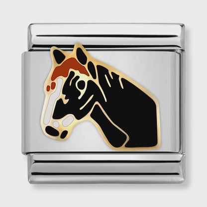Video del Charm Caballo (Cabeza)