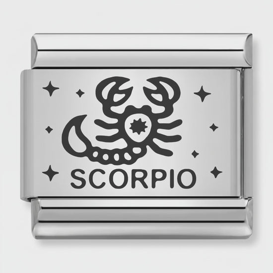 Video del Charm Escorpio (Plateado)