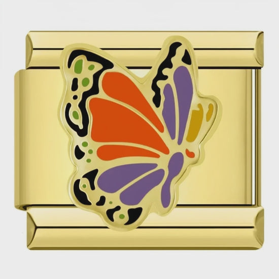 Video del Charm Mariposa