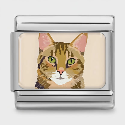 Video del Charm Gato (Atigrado)