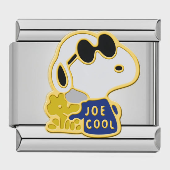 Video del Charm Perrito Cool con Lentes