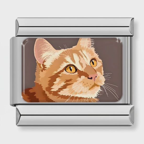 Video del Charm Gato naranja