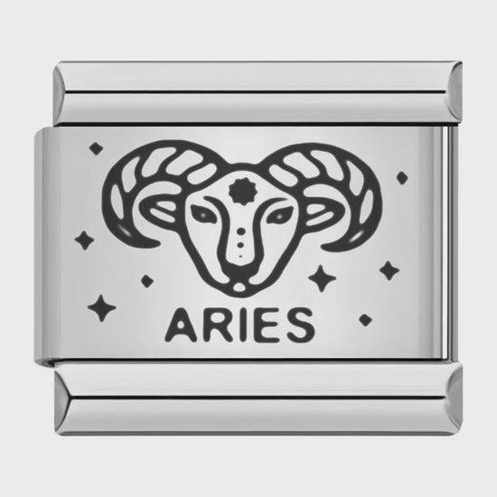 Video del Charm Aries (Plateado)