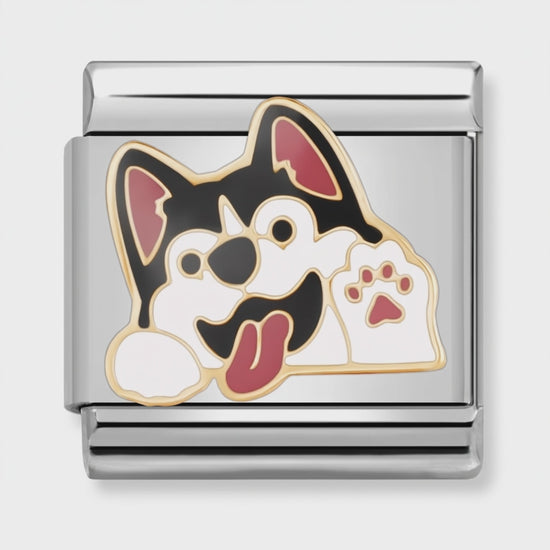 Video del Charm Perro Husky (Cara)