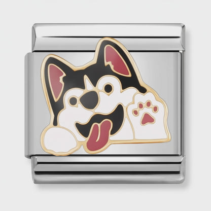 Video del Charm Perro Husky (Cara)