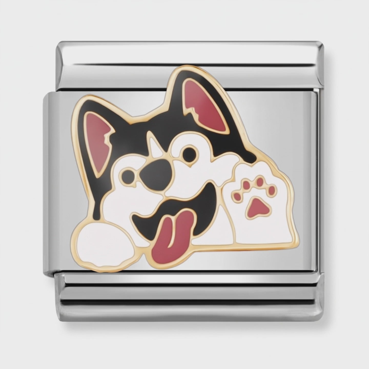 Video del Charm Perro Husky (Cara)