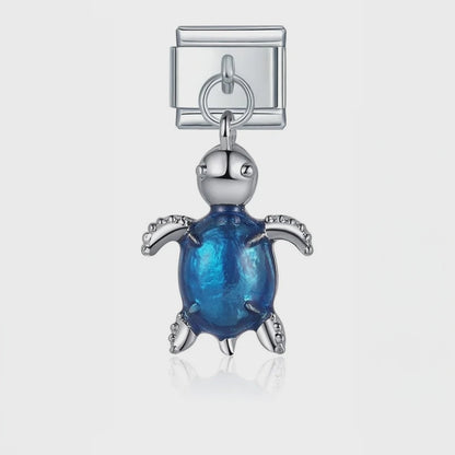 Video del Charm Tortuga